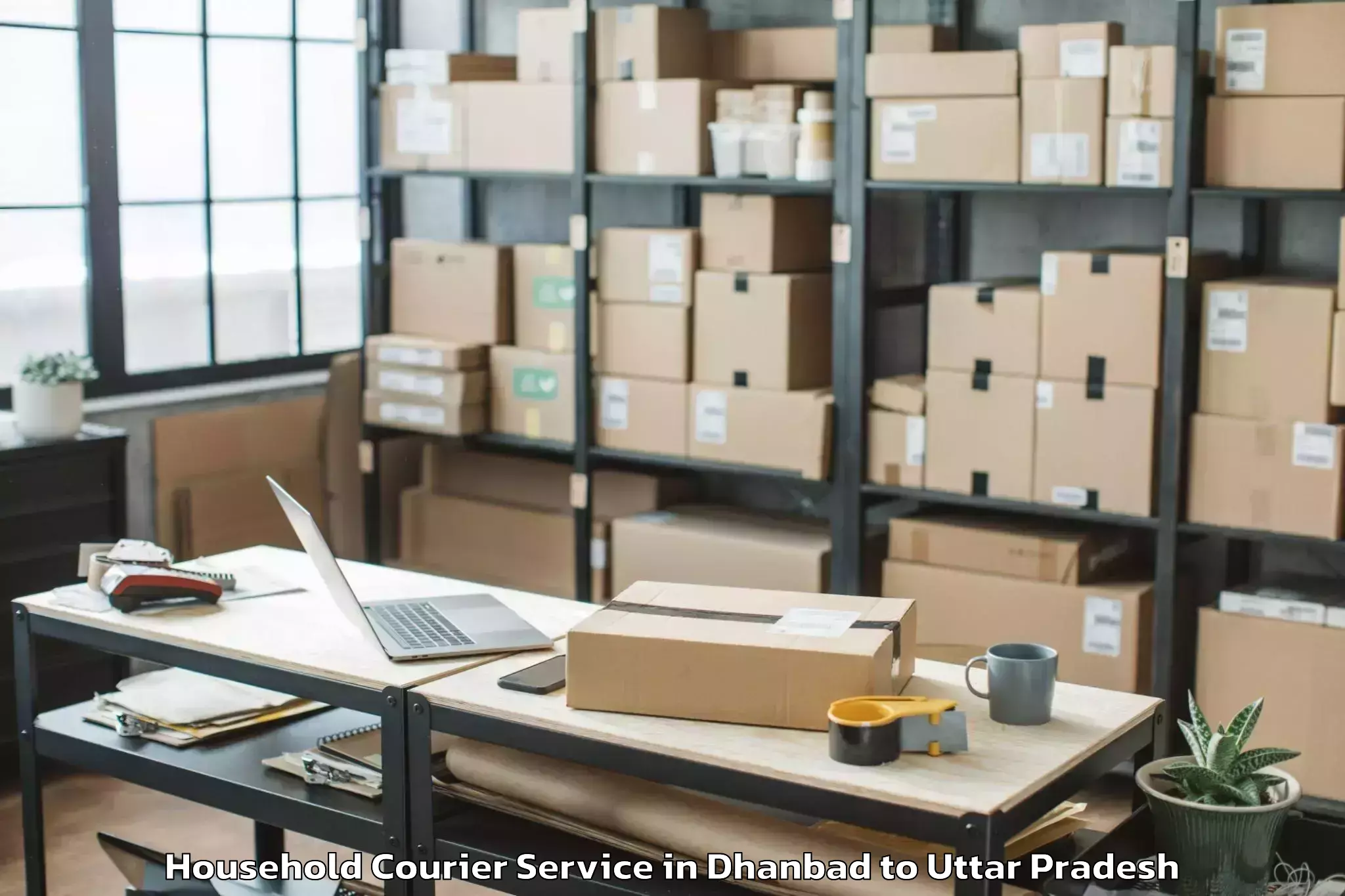 Top Dhanbad to Haldaur Household Courier Available